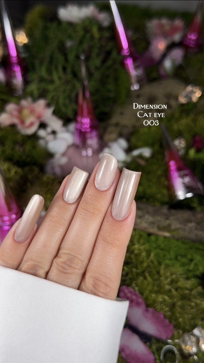Гель-лак Pinx Gel polish Cat eye Dimension №003 8 мл, фото 5