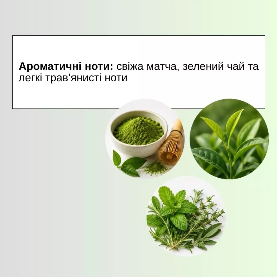 Сироватка для тіла Elan Elementix Lab Matcha + Hyaluronic Acid 350 мл, фото 2