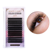 Вії Arison lashes чорні, 12 ліній Мікс 2D-5D  D, 0,07, 11-13 мм