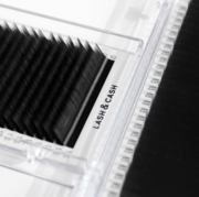 Ресницы Sculptor Lash&Cash черные  СC 0.10, 13 мм, фото 3