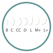 Вії Lex Family темно-коричневі 20 ліній Mix C 0.07 6-9 мм, фото 2