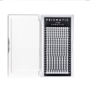 Ресницы-пучки Sculptor Prizmatic Wings Lunelle 20 линий Mix C 0.05 8-14 мм, фото 1