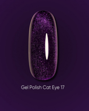 Гель-лак Dark Cat Eye №17 6 мл, фото 2