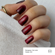 Гель-лак Gemely Cat Color №014 6 мл, фото 2