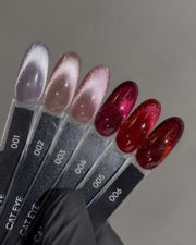 Гель-лак Dark Cat Eye №06 10 мл, фото 2