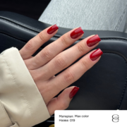 Гель-лак Gemely Max Color №019 6 мл, фото 4