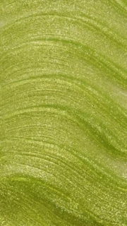 Гель-лак DNKa Cat`s Eye 80’s №0006 12 мл, фото 4