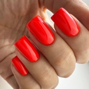 Гель-лак PNB Gel Polish №146 8 мл, фото 3
