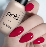 Гель-лак PNB Gel Polish №207 8 мл, фото 3