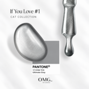 Гель-лак OMG..My Darling If You Love Cat Eye №1 10 мл, фото 3