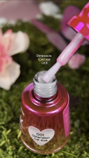 Гель-лак Pinx Gel polish Cat eye Dimension №001 8 мл, фото 2