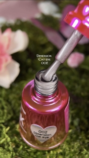 Гель-лак Pinx Gel polish Cat eye Dimension №002 8 мл, фото 4