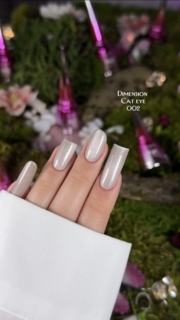 Гель-лак Pinx Gel polish Cat eye Dimension №002 8 мл, фото 6