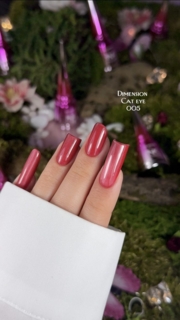 Гель-лак Pinx Gel polish Cat eye Dimension №005 8 мл, фото 4