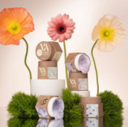 Гель моделюючий Valeri Builder Gel Flower з сухоцвітами №03 15 мл, фото 3